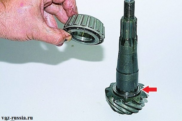 Стрелкой указано регулировочное кольцо которое после снятия кольца заднего подшипника нужно снять